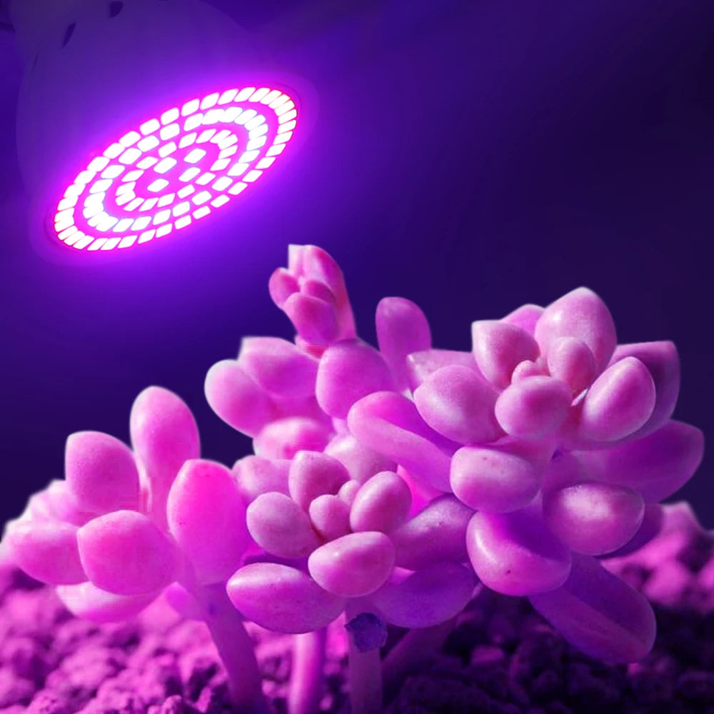 LED Grow Light Bulb E27 220V Full Spectrum 60/80LED Plant Lamp for Indoor Garden Seedling Greenhouse Hydroponics Grow Tent