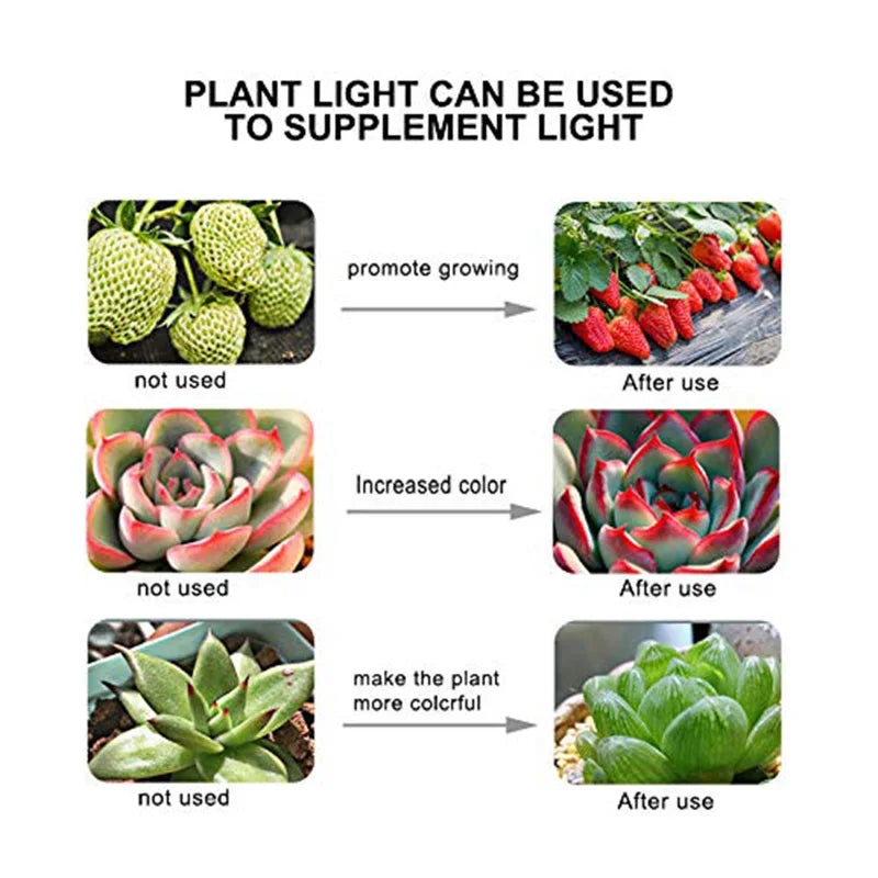 LED Grow Light Bulb E27 220V Full Spectrum 60/80LED Plant Lamp for Indoor Garden Seedling Greenhouse Hydroponics Grow Tent
