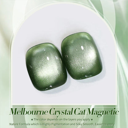 BORN PRETTY 10ml Dark Emerald Cat Magnetic Gel Ultra Shine Semi Permanent Soak Off UV Gel Manicure Nail Art Varnish