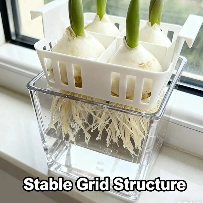 1/3x Four Grid Flower Pot for Hydroponic Tulips Acrylic Breathable Hydroponic Containers for Indoor Gardening Planting Container