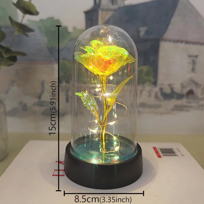 Valentines Day Gift for Girlfriend Eternal Rose LED Light Foil Flower In Glass Cover Mothers Day Wedding Favors Bridesmaid Gift