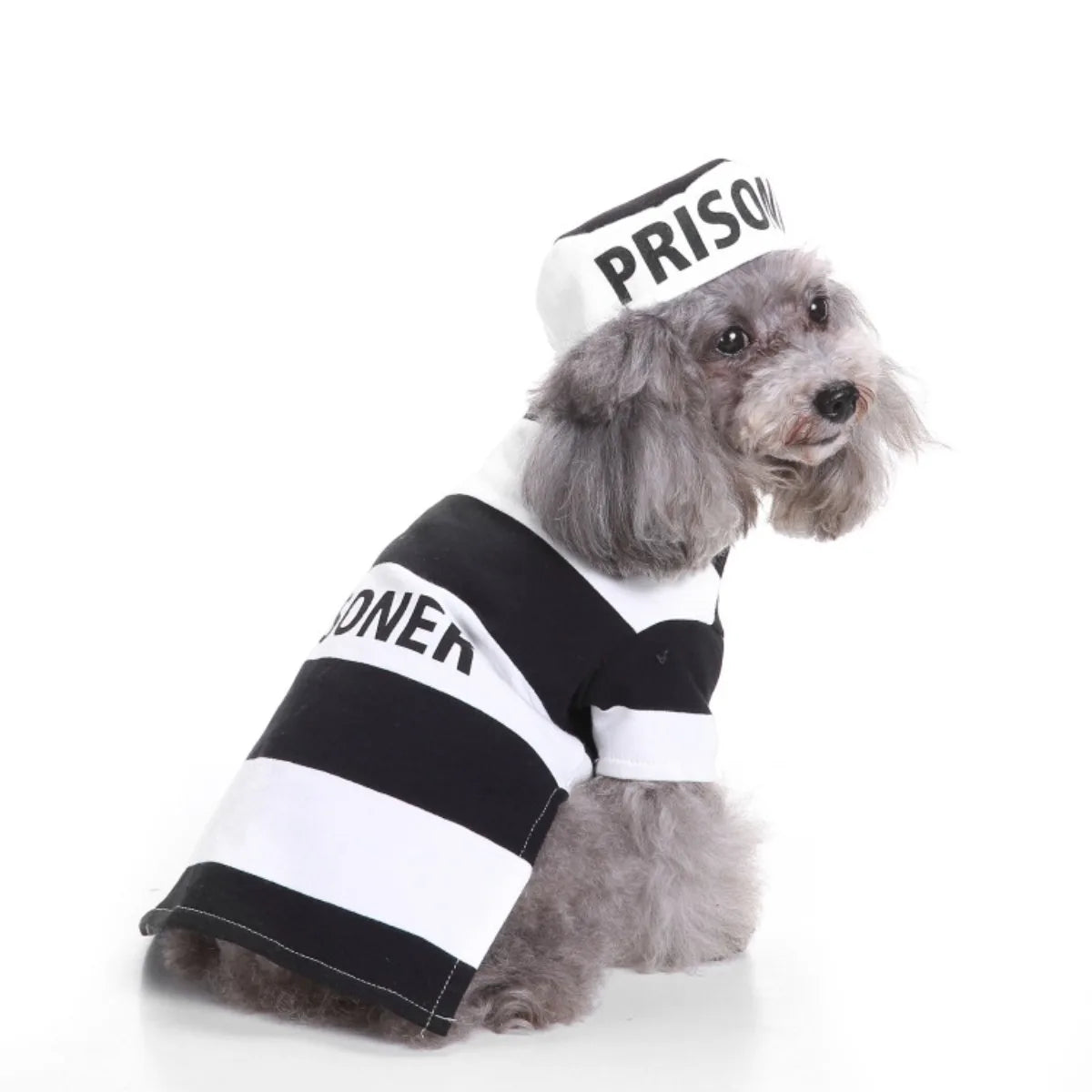 Pope Hat Costume for Cat/Dog Mini Craft Costume Good Feel and Elastic Comfortable and Durable Garments are Washable