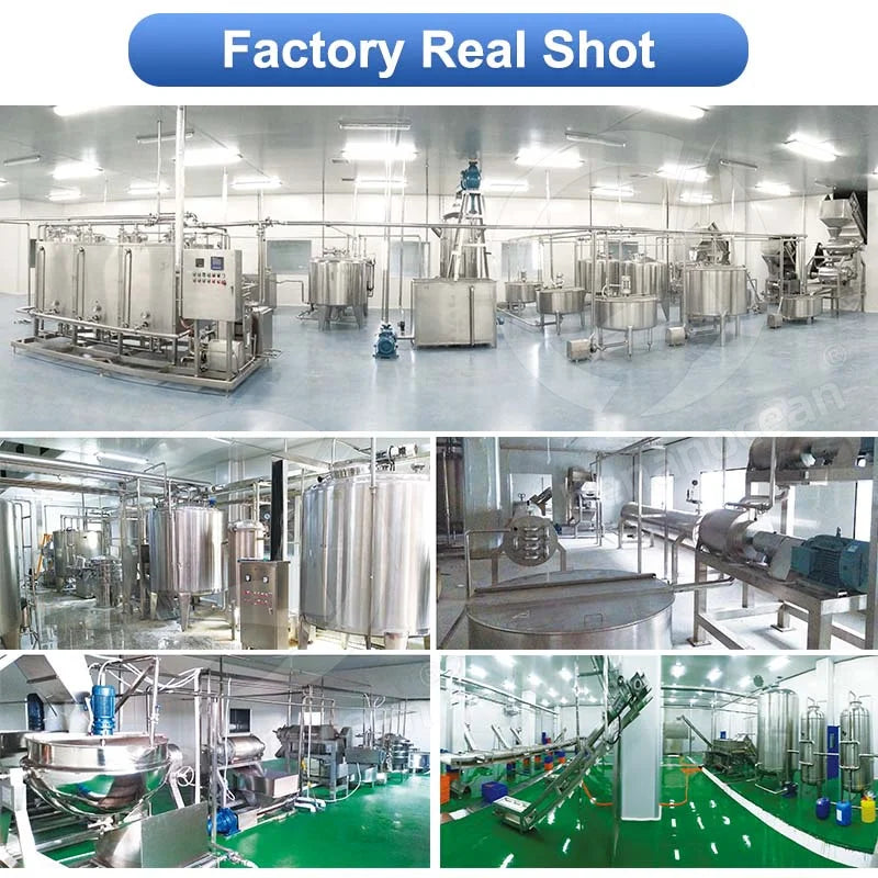 Tomato Sauce Production Line Small Tomato Paste Ketchup Make Machine Line for Sale
