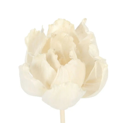 Lasting 5cm For Home For Aromatherapy Natural Handmade Fragrance Tongcao Flower Aromatic Incense Diffuser Sticks Dried Flowers