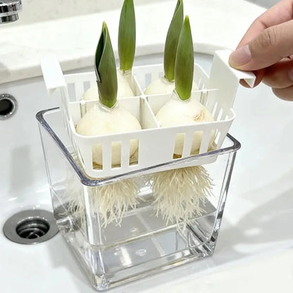 1/3x Four Grid Flower Pot for Hydroponic Tulips Acrylic Breathable Hydroponic Containers for Indoor Gardening Planting Container
