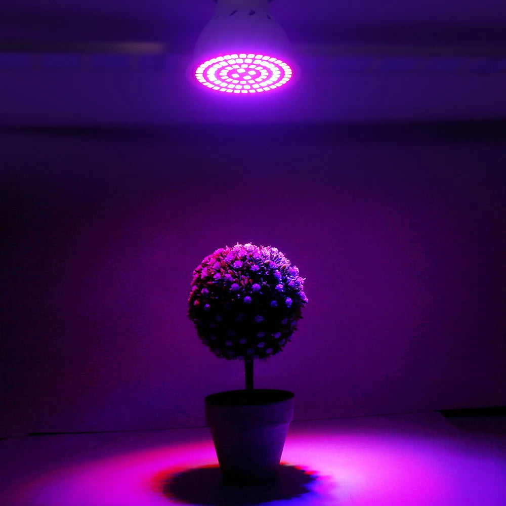 LED Grow Light Bulb E27 220V Full Spectrum 60/80LED Plant Lamp for Indoor Garden Seedling Greenhouse Hydroponics Grow Tent