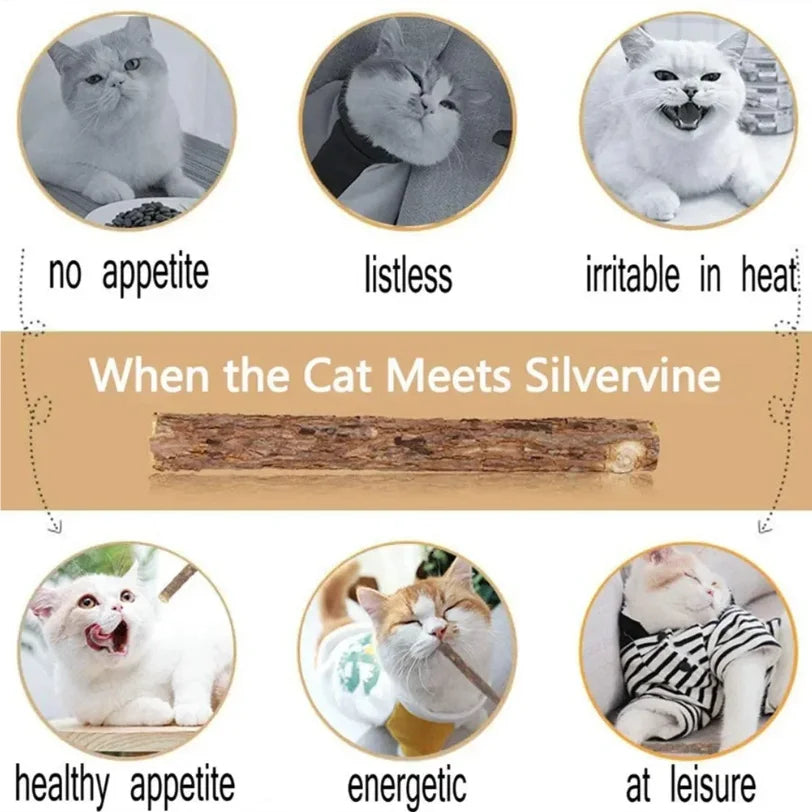 15pcs Natural Matatabi Cat Catnip Toy Kitten Molar Chew Stick Pet Cleaning Teeth Cat Treat Toy Actinidia Silvervine Pet Products