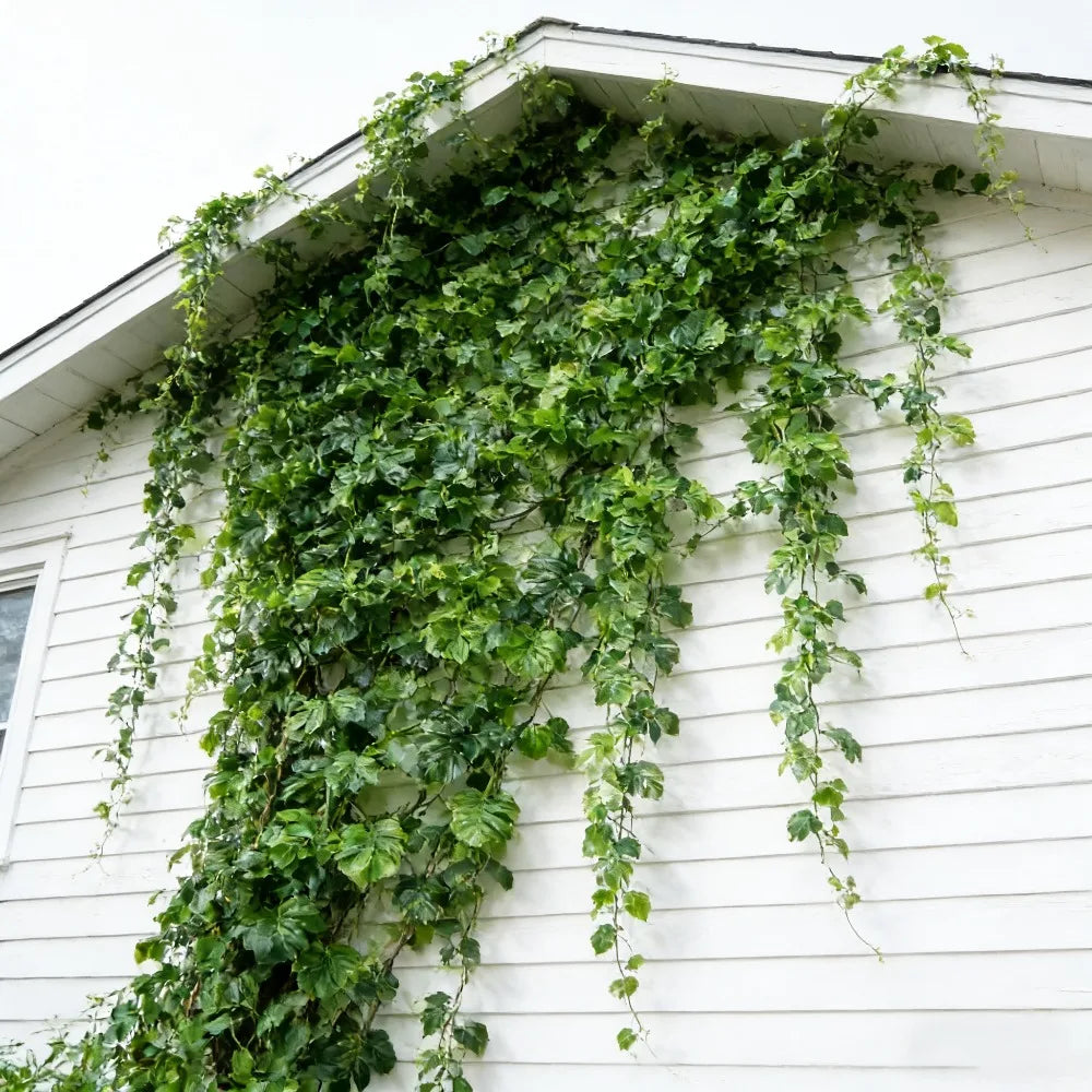 172cm Persian Fern Hanging Artificial Plant Turtle Leaf Vines for Christmas Autumn Garden Wedding Party Wall Balcony Decor