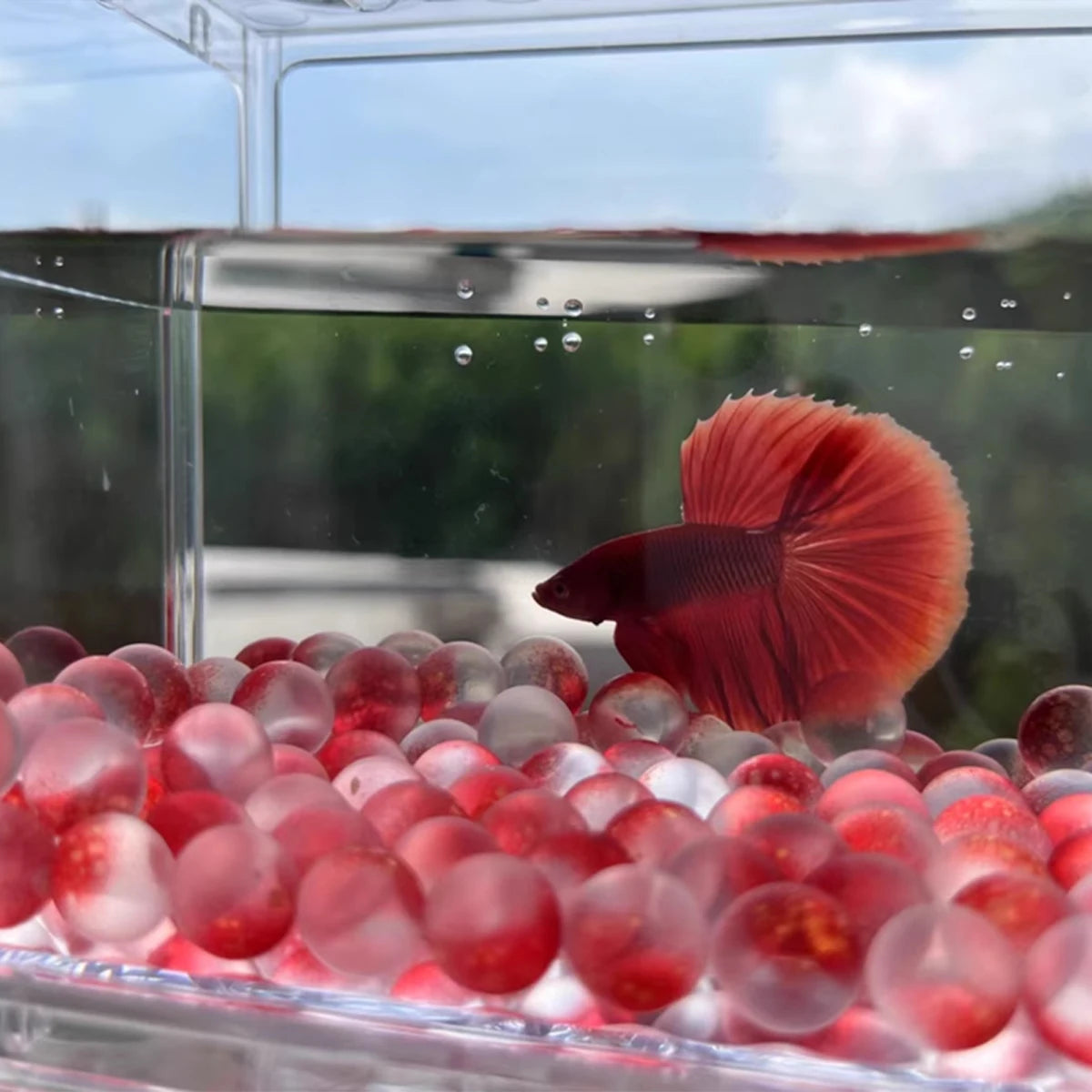 Fish tank frosted glass beads, small fish tank landscaping supplies, micro landscape ecological tank decorations and ornaments