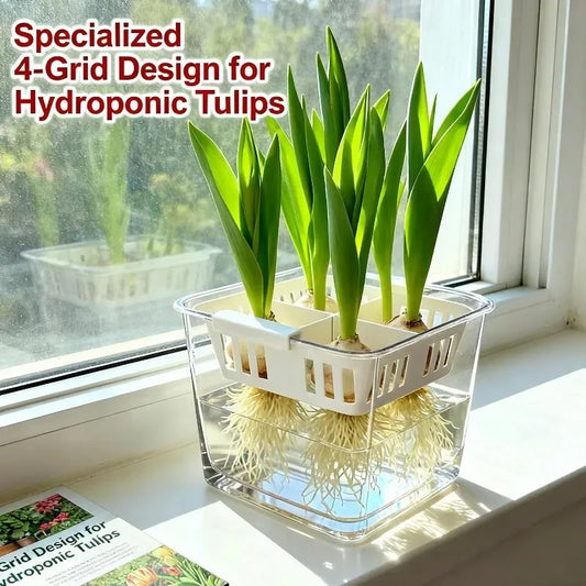 1/3x Four Grid Flower Pot for Hydroponic Tulips Acrylic Breathable Hydroponic Containers for Indoor Gardening Planting Container